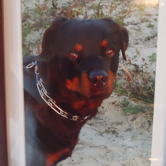 Not for sale - Picture 2 of 12